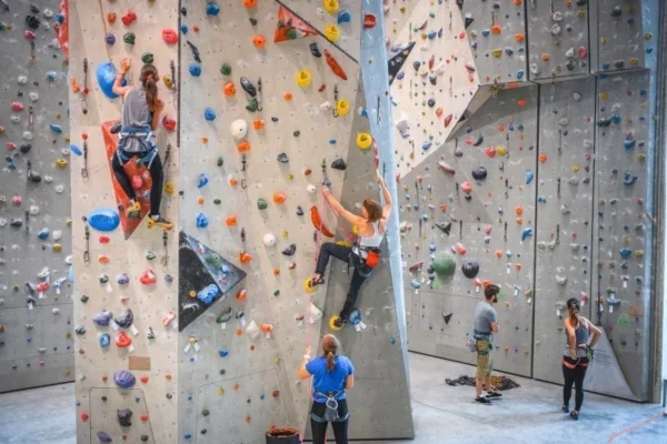 People rock climbing indoors