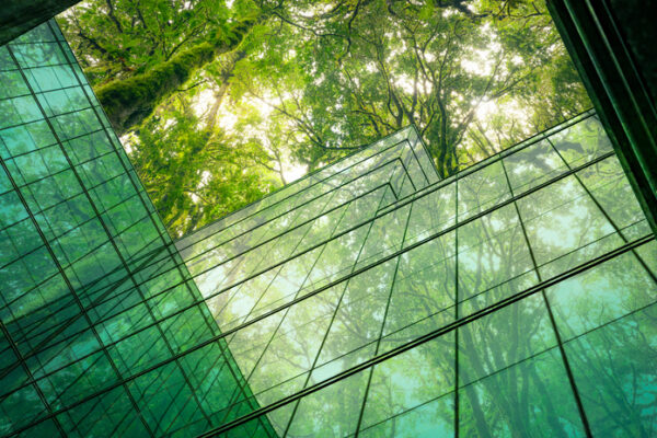 Sustainability and the re-use of materials in a fit out